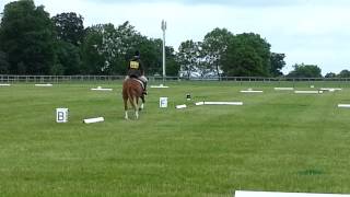 Bca Be95 Dressage. 16-06-13