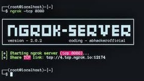 beef-xss with ngrok 2024