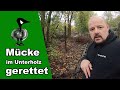 Mücke im Unterholz gerettet - Tiernotruf #231