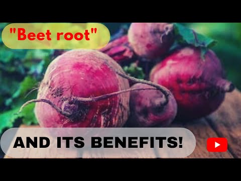 ቪዲዮ: ምርጥ የ beets ዝርያዎች