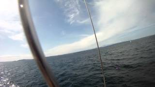 Three Tree Point 2012 - Upwind B Reel