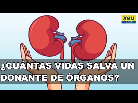 Donación de órganos y tejidos: ¿Cuántas vidas puede salvar un donante cadavérico?