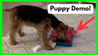 Dog Brick Interactive Treat Puzzle Dog Toy, Intermediate  Puppy Demo!!