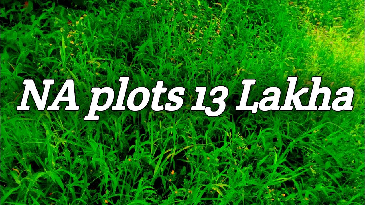 🌴 कळसुली गावात 7 गुंठे NA प्लॉट फक्त 13 लाखात | फळझाडांसह सुंदर इमारत!