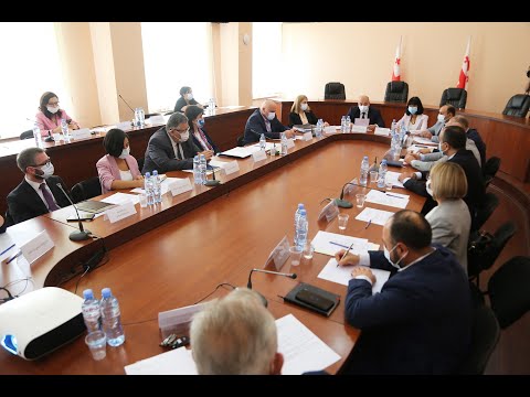 გამყოფი ხაზის მიმდებარედ სოფლებში დაზარალებული მოსახლეობის საჭიროებებზე სხდომა გაიმართა