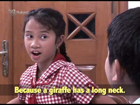 Animals seg2 [Easy English Everyday] | Video Learning Object