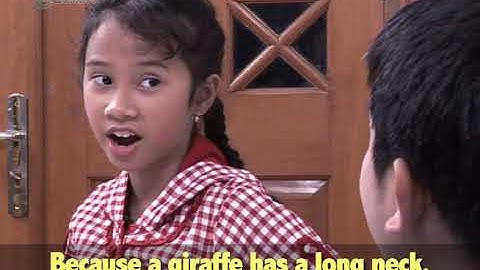 Animals seg2 [Easy English Everyday] | Video Learning Object