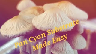 Pan Cyan Substrate Made Easy!