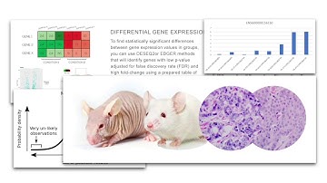 Transcriptomics 2 - Summary Presentation