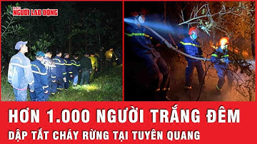 Cháy rừng ở Tuyên Quang, hơn 1.000 người trắng đêm tham gia dập lửa trong đêm | Tin nhanh