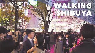 Walking Shibuya with Sakura 🌸 🇯🇵 | Lo-Fi Chill Hop Beats | 4K | Relax/Study/Sleep