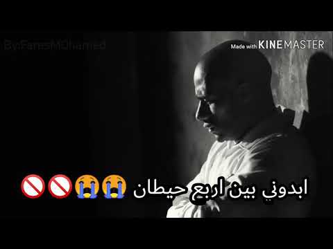 حالة واتس امين خطاب سلموني كلبشوني مهرجان سنيوريتا