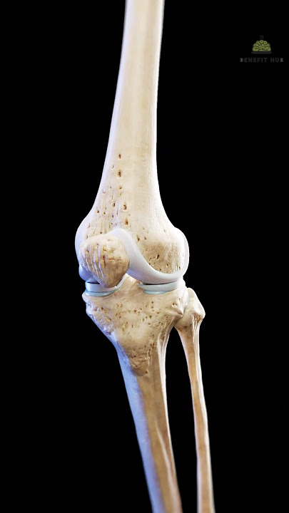 5 Powerful Teas for Everyday Problems! #HealthTips #NaturalRemedies