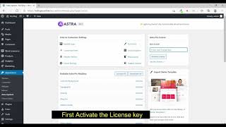 Theme plugin activation with license key
