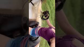 What’s your dream hobby? Mine is definitely this. 🐎