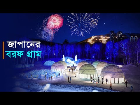 ভিডিও: ট্রিমার স্নো ব্লোয়ার: কীভাবে নিজের হাতে ব্রাশকাটার থেকে স্নো ব্লোয়ার তৈরি করবেন? পেট্রল কাটার থেকে ঘরে তৈরি তুষারপাত