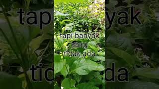 Sadar Diri, Masih Banyak Orang Baik.