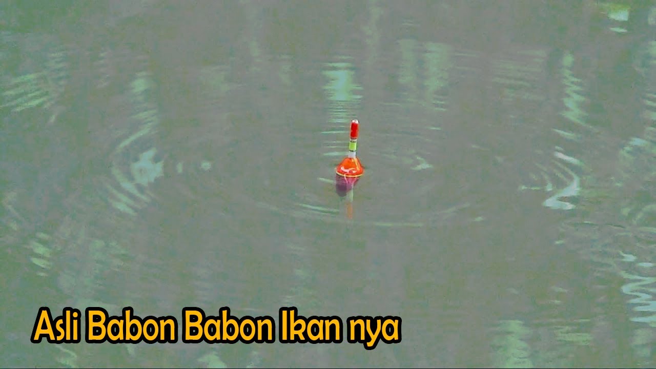 Mancing Di Sungai Kecilnya,,!!IMalah Besar Besar Ikan nya