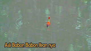 Mancing Di Sungai Kecilnya,,!!IMalah Besar Besar Ikan nya