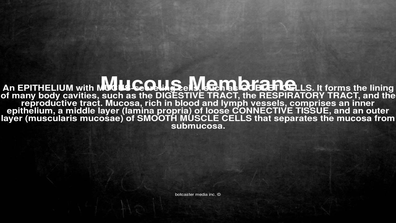 Medical vocabulary What does Mucous Membrane mean YouTube