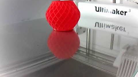 Ultimaker 3 Timelapse with internal cam