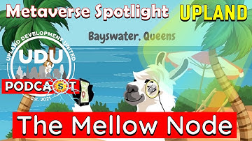 Metaverse Spotlight: The Mellow Node