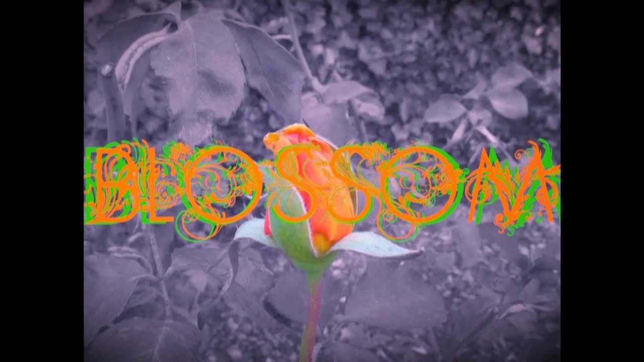 BLOSSOM feat. DONNESSY [Prod. Weird Inside]