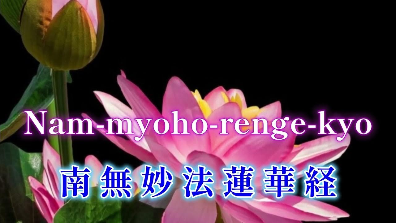 No 11 music with sunoai urge others to do the same the