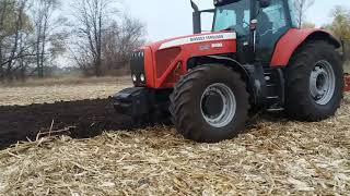 Mey Ferguson 8480 Оранка 2020