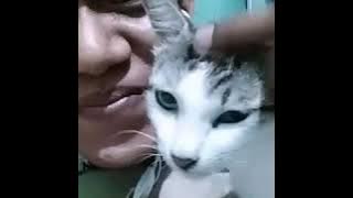 Download lagu Gebyy tinggal kenangan cover by ariel