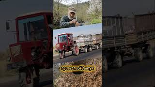 Построил мост из шпал в деревне своими руками