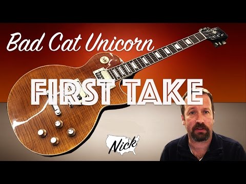 bad-cat-unicorn-first-impressions---going-legit!-chibsons-are-so-last-year.