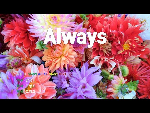은성 반주기 Always 강성