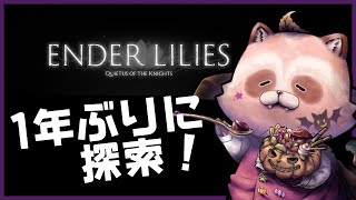 【ENDERLILIES】迷子になって詰んだゲームを再開