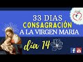 Consagración a la Virgen María 33 días | Día 14 | San Luis María Grignon de Montfort | Mision Ruah