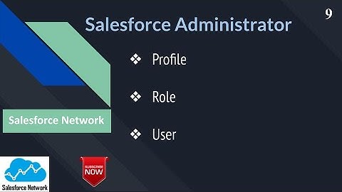 Day 9: Profile, Role & User in Salesforce