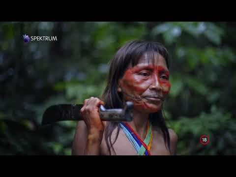 Videó: Kannibalizmus Afrikában. A kannibálok vad törzsei