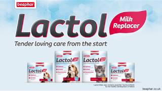 The Beaphar Lactol Journey