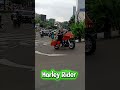 Harley Brotherhood at Senayan City ‼️#bike #bikelife #fypシ