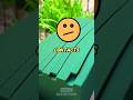 I Trusted Siri Big Mistake Marrkadams89 I Trusted Siri Big Mistake Marrkadams89