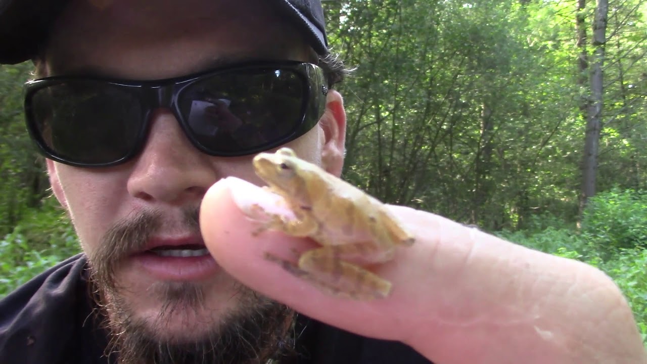 camera iphone 8 plus apk THE WILD-MAN'S WILD FRIENDS VIDEO SERIES - SPRING PEPPER