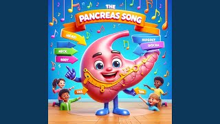 The Pancreas Song | Sing & Learn