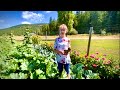 Fresh produce in garden - Vacation Rental In Montana - The Homesteading Honey