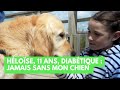 Héloïse, 11 ans, diabétique : jamais sans mon chien ! - La Maison des maternelles #LMDM