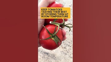 How to keep Tomatoes Fresh #shorts