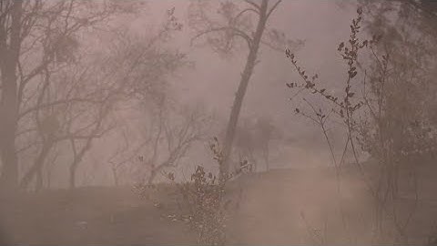 California Wildfires: Bonanza Fire update
