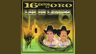 Video thumbnail of "Los De Linares - Si Quieres Tu Vol Vere"