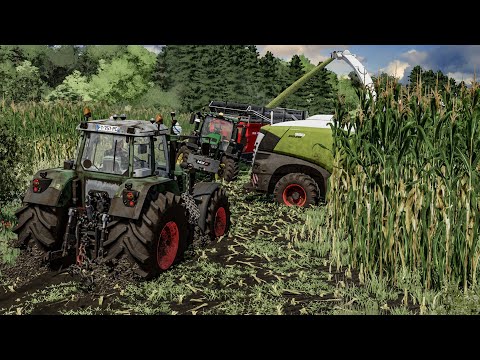Видео: Уборка кукурузного силоса в ЭКСТРЕМАЛЬНОЙ ГРЯЗИ! Каждый трактор застревает | Farming Simulator 22