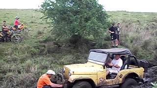 Jeep Willys No Atoleiro Em Mato Queimado