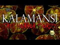 KALAMANSI HORROR STORIES - TRUE STORIES